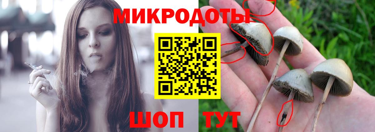Псилоцибиновые грибы Psilocybe  Вход с VPN  Югорск  Псилоцибиновые грибы мицелий 